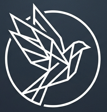 DoveSphere logo